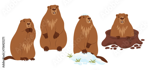 Collection Groundhogs. Rodent animal in snow, marmot stands and looking out of an earthen hole. Cute Isolated characters for Groundhog Day holiday design on February 2. vector illustration photo