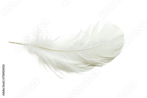 White Swan Feather isolated on transparent background
