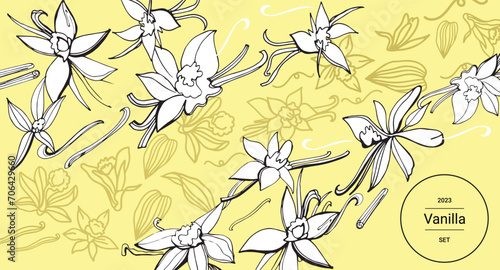  Isolated vector set of vanilla. Vanilla sticks, vanilla flower and pods. Aroma, food. Vector hand drawn illustration of orchid Flower and pods on a yellow background.