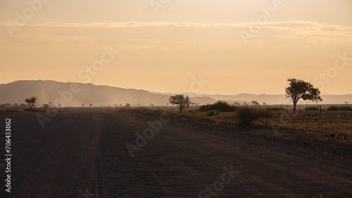 Eine einsame, staubige Schotterpiste durch die Savanne der Wüste Namibias mit vereinzelten Bäumen in der Abenddämmerung