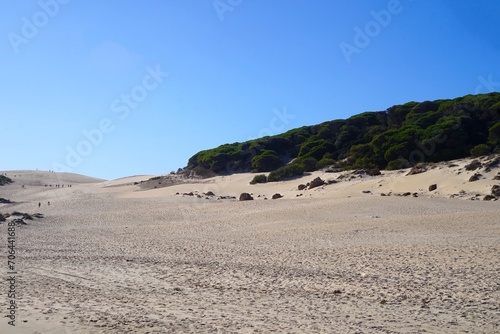 high sand dunes on the beach Playa Bolonia, Bolonia, Costa de la Luz, Andalusia, Cadiz, Spain