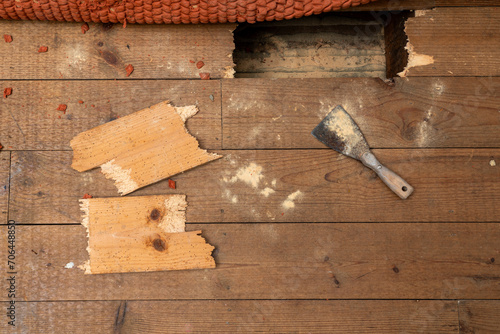 Tableau sur toile A broken floorboard infested with woodworms, the wood-eating larva of many species of beetle, in a bedroom floor, indoors, causing a serious damage to the wood