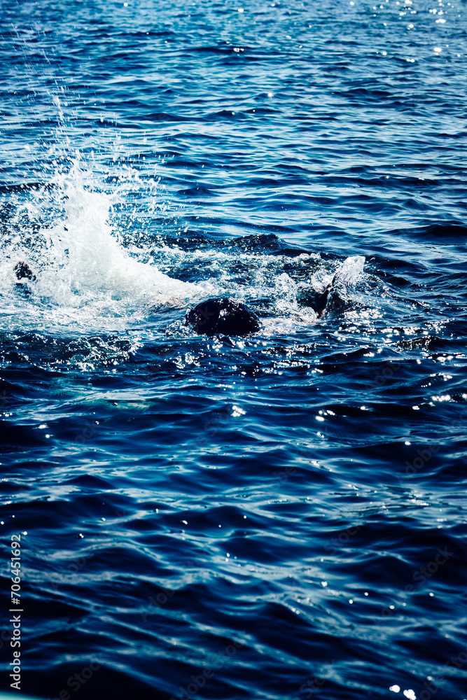 Drowning man in sea asking for help with raised arms Drowning man in sea asking for help with raised arms