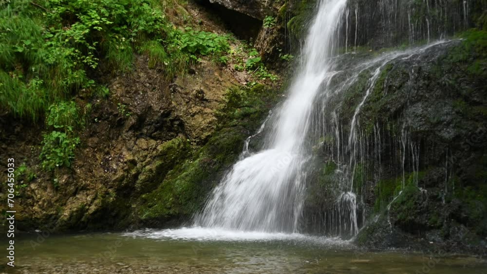The side of a mossy waterfall with plants The side of a mossy waterfall with plants
