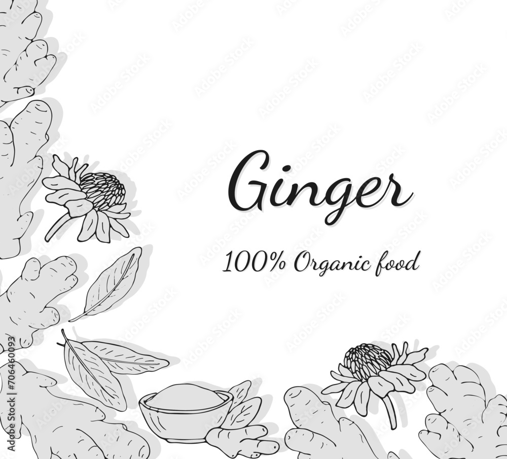 Fototapeta premium Hand-drawn ginger set. Ginger root banner. Ginger root, leaves, flowers, and powder in a bowl. Vector illustration, isolated on white background.