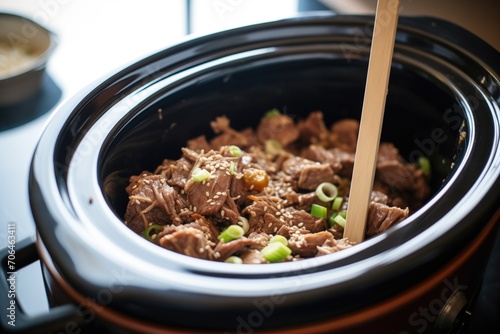 slow-cooker beef teriyaki chunks with sauce drizzle photo