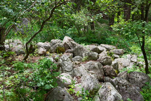 Pile of stones among the green forest