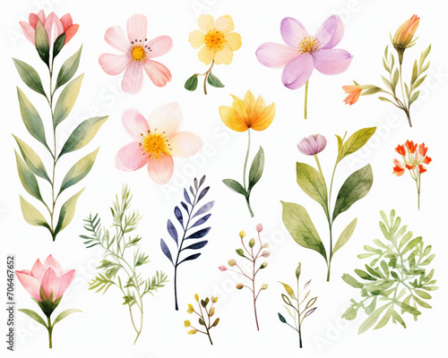 Spring flowers and leaves collection  isolated elements in pastel colors  watercolor illustration