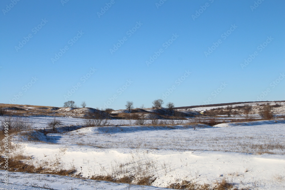A snowy landscape with trees and a blue sky