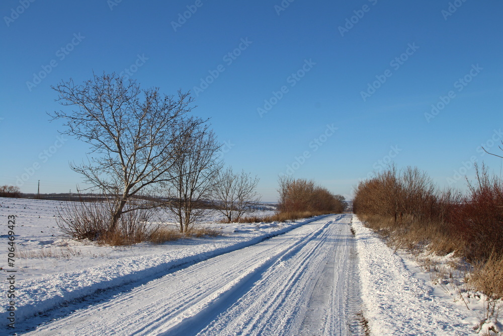 A snowy road with trees and a blue sky