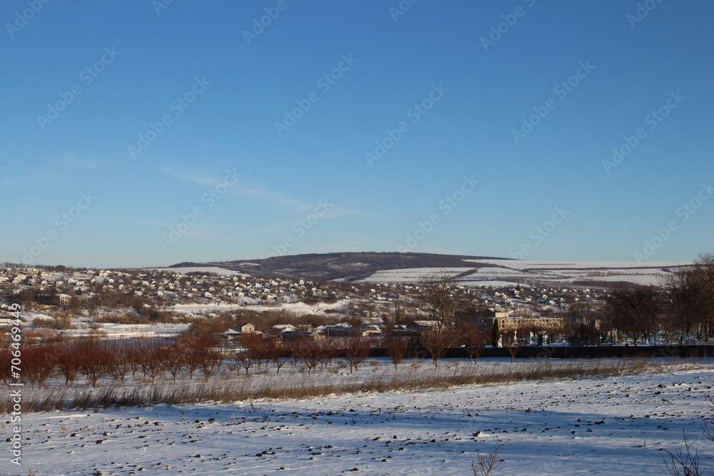 A snowy landscape with trees and a blue sky
