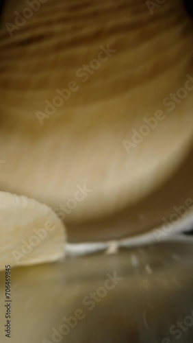 Wallpaper Mural Vertical video. I pour a stack of corn chips from a long can onto the table. Black background. Dolly slider, close up. Torontodigital.ca