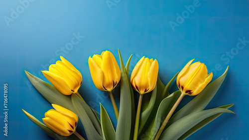 Yellow tulips on blue background with space for text