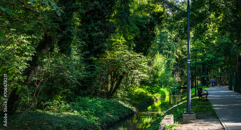 Obraz premium green forest park next to the thermal baths in Heviz, Hungary