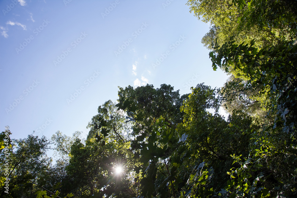 Obraz premium Textured background image of a blue sky with clouds and a frame of tree branches, for your creative design or illustrations.