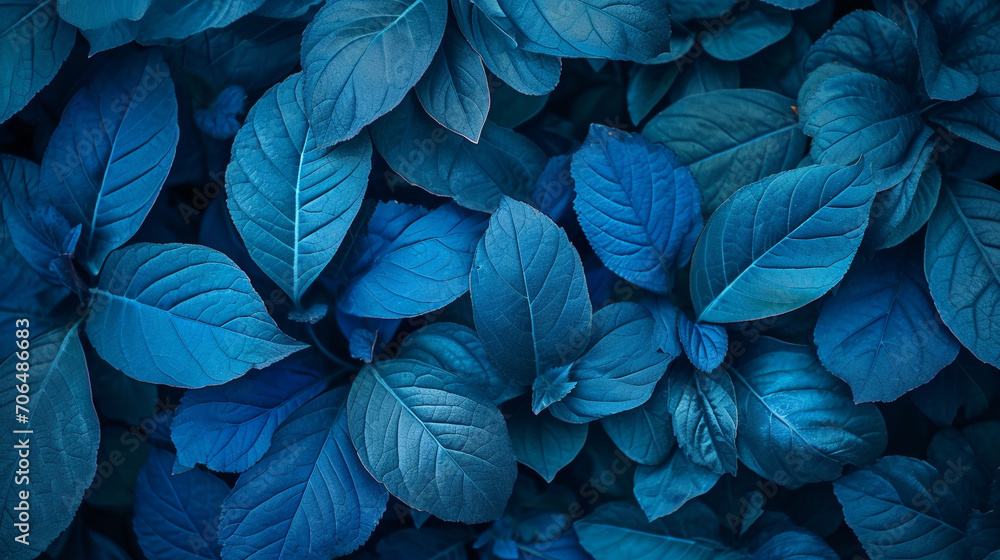 blue plant leaves in fall season. Blue background