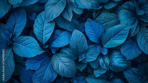blue plant leaves in fall season. Blue background © Swaroop