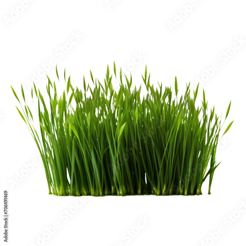 Isolated green grass on a transparent background AI