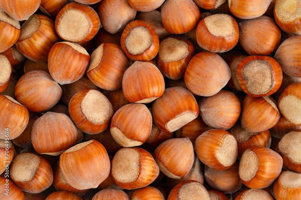 Hazelnuts or filberts background. Top view