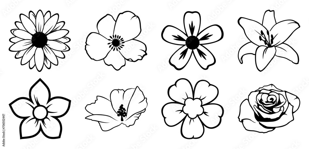 set of transparent flowers set of transparent flowers