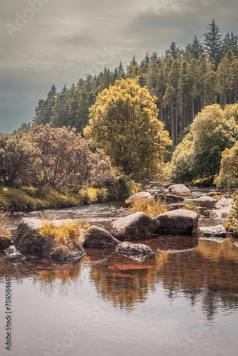 Relaxing river forest in summer, beautiful English natural scenic landscape, autumnal colours, Dartmoor National Park UK