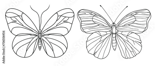 Fényképezés Butterfly in One continuous line drawing