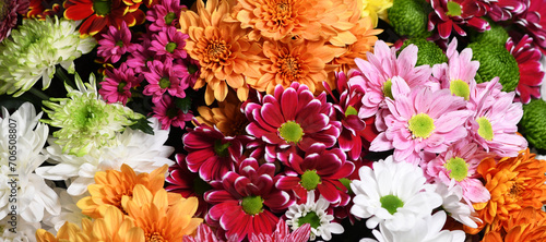 Fototapeta Naklejka Na Ścianę i Meble -  Flowers wall background with amazing red, orange, pink, purple,green and white chrysanthemum flowers, hand made Wedding decoration, Valentine background. Colorful flowers mix. Pattern of flowers. 