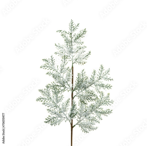 Christmas decoration with green frozen fir branch isolated on white background