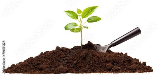 Young plant sprouting in rich soil next to a gardening trowel, cut out