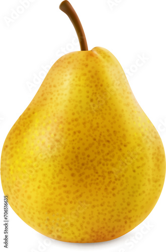 Realistic ripe raw yellow pear isolated whole fruit. 3d vector plant with a smooth and golden skin, conceals tender, sweet flesh within. Its succulent juiciness creates a delightful sensory experience