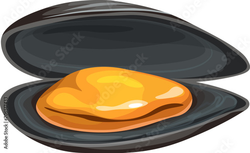 Mussel, cartoon seafood cuisine or sea food delicatessen mollusk, isolated vector. Open mussel shell for gourmet seafood cuisine, restaurant menu or kitchen cooking and fish market product