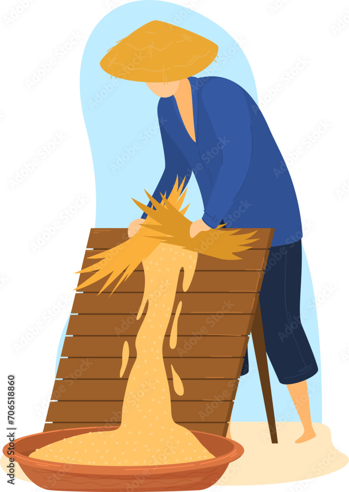 Asian farmer harvesting rice, traditional method, conical hat. Rural