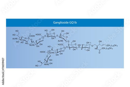 Molecular structure diagram of Ganglioside GQ1b. blue Scientific vector illustration.