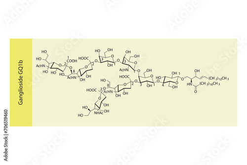 Molecular structure diagram of Ganglioside GQ1b. yellow Scientific vector illustration.