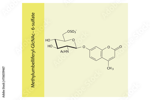 Molecular structure diagram of Methylumbelliferyl-GlcNAc−6-sulfate yellow Scientific vector illustration.