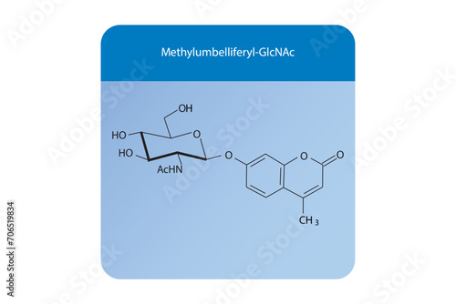 Molecular structure diagram of Methylumbelliferyl-GlcNAc blue Scientific vector illustration.