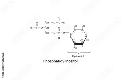 Molecular schematic structure of Phosphatidylinositol. White Scientific vector illustration.