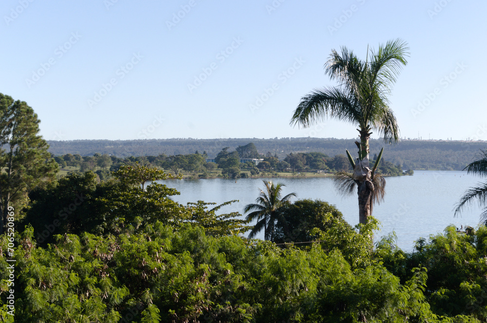 Paranoa Lake sight, trees and palm.