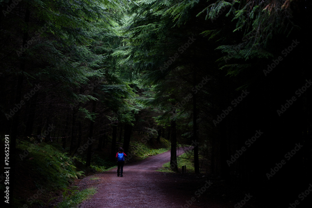 Moody, magical atmosphere: Small hiker in a dark, massive ever green conifer trees Moody, magical atmosphere: Small hiker in a dark, massive ever green conifer trees