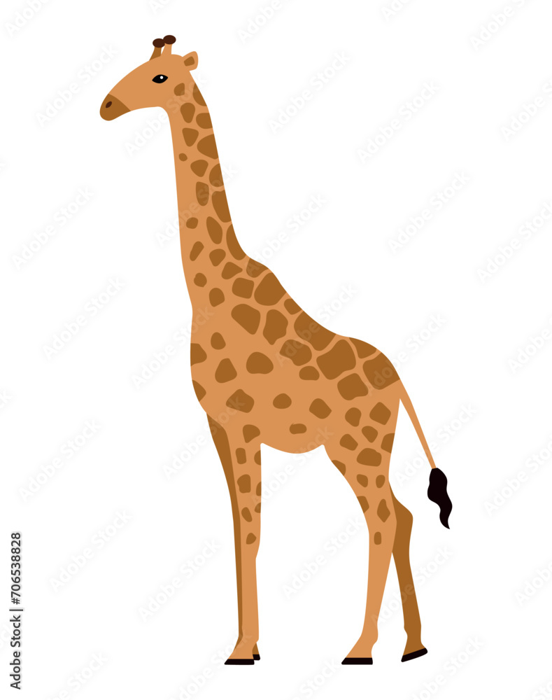 Giraffe, African animal. Isolated vector illustration for your design. Giraffe, African animal. Isolated vector illustration for your design.