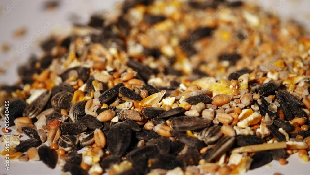 Wild bird seed close up Wild bird seed close up