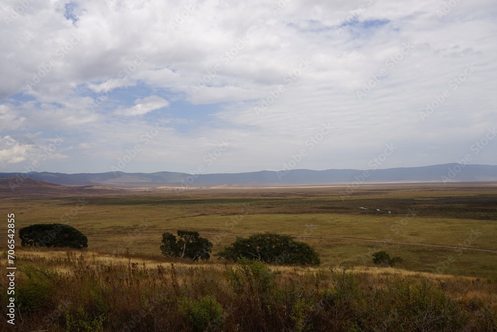 african wildlife, crater plain view