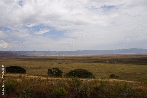 african wildlife  crater plain view
