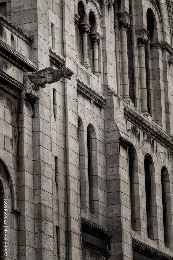 Fototapeta premium Gárgolas de Notre dame, París
