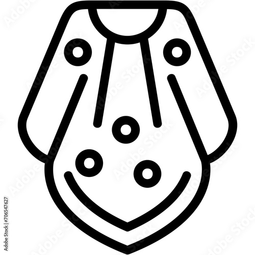 Poncho Icon