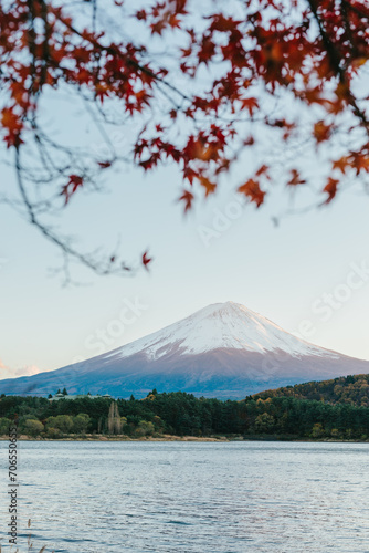 mountain and red leaf