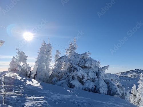 winter mountain landscape © Sergey