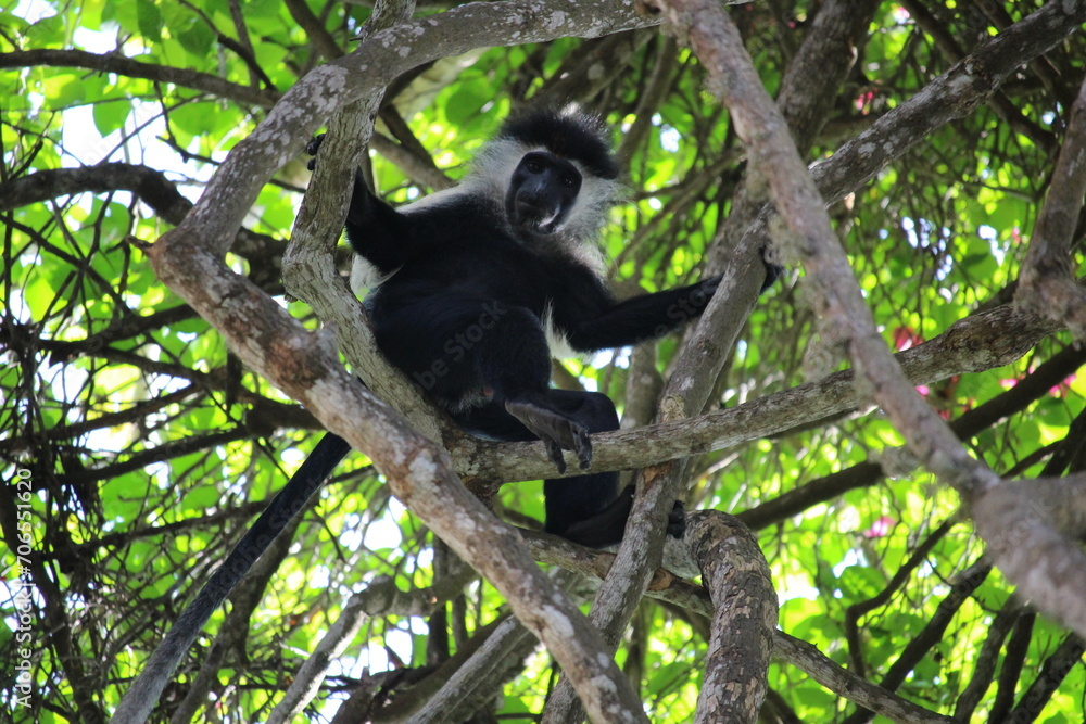 Diani Beach, Kenya