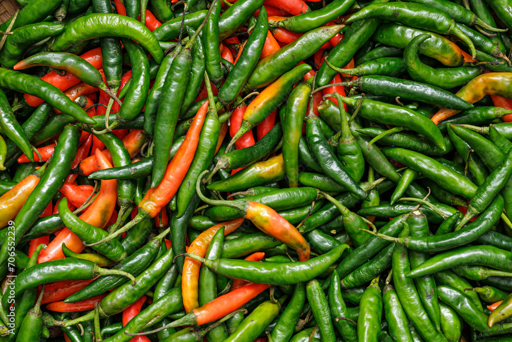 Harvest green and red chilies. Green and red chilies in traditional market. Green and red chilies fullframe.. Horizontal mode. Harvest green and red chilies. Green and red chilies in traditional market. Green and red chilies fullframe.. Horizontal mode.