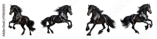 A set of black horses is running gracefully isolated on a transparent background PNG